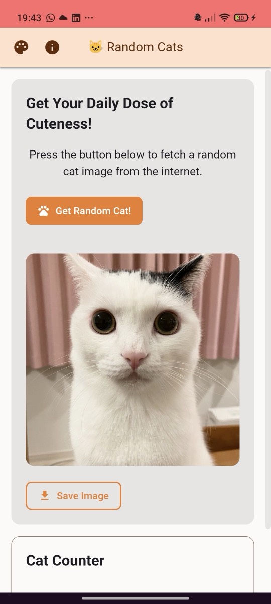 Random Cat